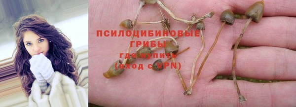 герыч Новодвинск
