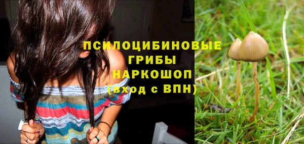 герыч Новодвинск