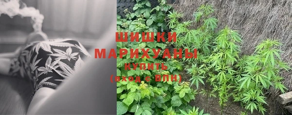 герыч Новодвинск