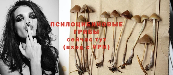 бутик Новозыбков
