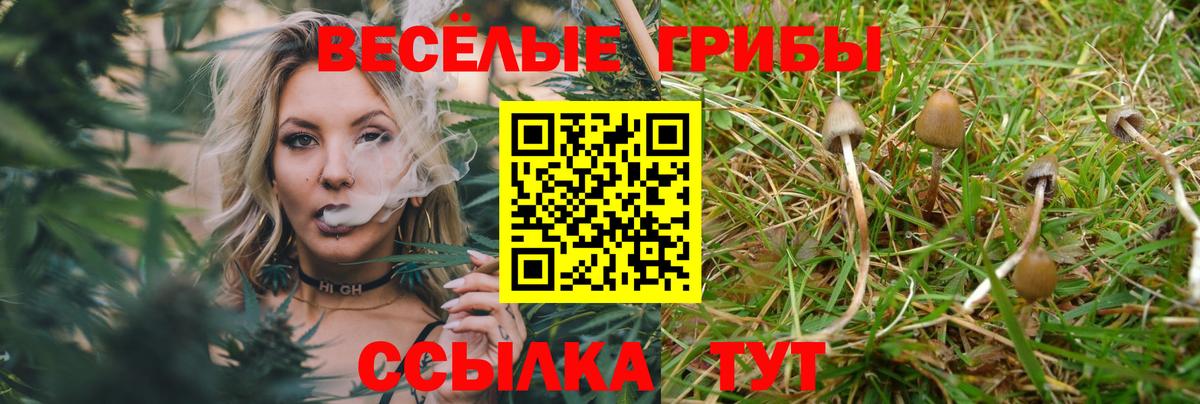 Владикавказ  что такое наркотик  Вход с VPN  Псилоцибиновые грибы прущие грибы 